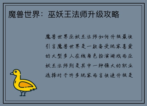 魔兽世界：巫妖王法师升级攻略